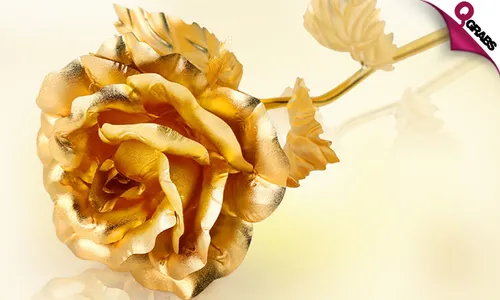 24K Gold-Plated Foil Roses + FREE 3 Roses & Teddy Bear Set!